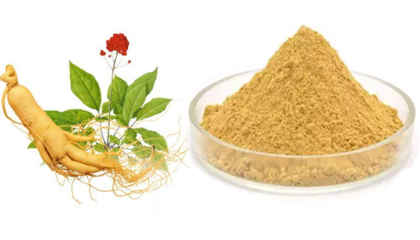 人參多糖10% 人參提取物 六盤(pán)韻