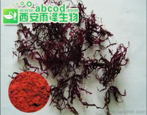 紅藻提取物海藻提取物植物提取物生產(chǎn)廠家價格 廠家 圖片