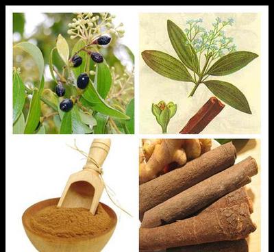 肉桂提取物,肉桂多酚,新品上市,優質產品