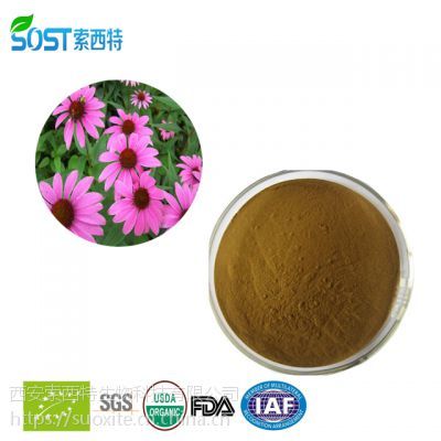 紫雛菊提取物 紫雛菊多酚 植物提取物價格 西安索西特生物規格多酚4%