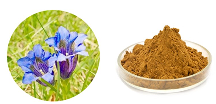 龍膽草提取物 龍膽苦甙 天然植物提取 資質全 包郵