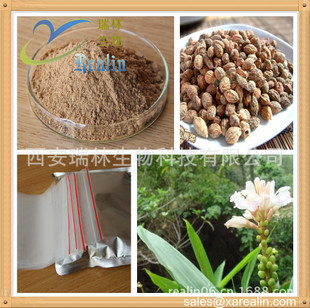 植物提取物-廠家現(xiàn)貨供應益智仁提取物,濕脾止瀉優(yōu)質(zhì)原料-植物提取物盡在阿里巴巴-.