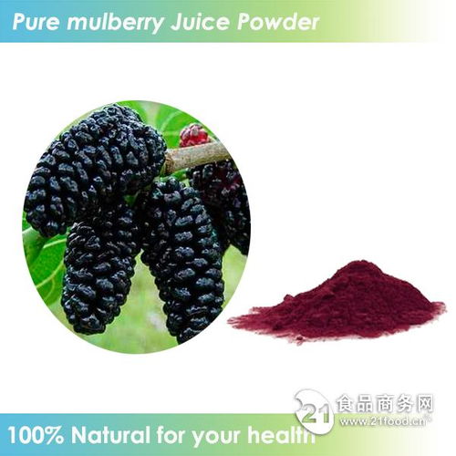 天然速溶飲料桑葚粉批發價格 西安 旭煌生物 植物提取物