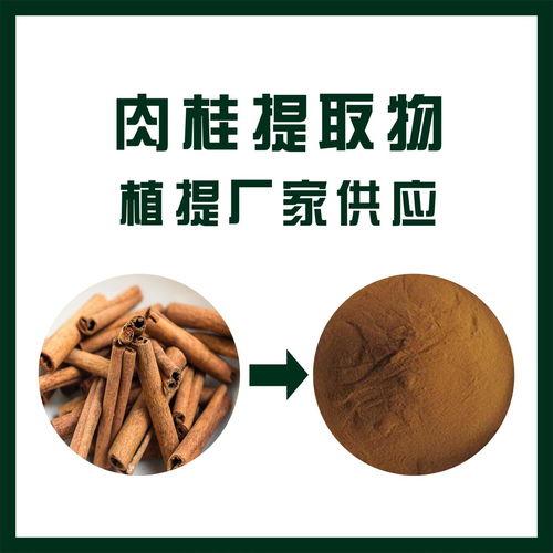 威海肉桂提取物廠 牡桂提取物 植物提取物